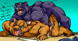 Rule 34 | anal, cat, dog, furry, male penetrated, muscular, panther, yaoi