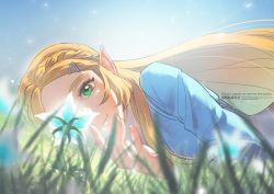 Rule 34 | 1girl, artist name, blonde hair, blue shirt, blurry, blurry foreground, braid, grass, green eyes, hair ornament, hairclip, long hair, long sleeves, lying, nintendo, nito minatsuki, on stomach, outdoors, parted bangs, pointy ears, princess zelda, shirt, sidelocks, silent princess, smile, solo, the legend of zelda, the legend of zelda: breath of the wild, upper body