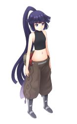 Rule 34 | 1girl, akatsuki (log horizon), aposine, blue eyes, blue hair, breasts, brown pants, crop top, floating hair, full body, high ponytail, highres, log horizon, long hair, midriff, navel, pants, parted lips, simple background, sleeveless, small breasts, solo, standing, stomach, turtleneck, very long hair, white background