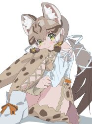 Rule 34 | 1girl, animal ears, boots, cat ears, cat girl, cat tail, closed mouth, extra ears, geoffroy&#039;s cat (kemono friends), green eyes, grey hair, highres, kemono friends, kemono friends v project, kneehighs, kunikuni (kunihiro2005), long hair, looking at viewer, ribbon, shirt, simple background, skirt, socks, solo, tail, twintails, virtual youtuber
