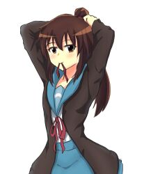 Rule 34 | 1girl, arms up, blue sailor collar, blue skirt, blush, brown cardigan, brown hair, cardigan, closed mouth, commentary, commission, cowboy shot, english commentary, genderswap, genderswap (mtf), hair between eyes, hair tie, hair tie in mouth, highres, kita high school uniform, kyonko, long hair, long sleeves, looking at viewer, mouth hold, open cardigan, open clothes, pennperun, pleated skirt, ponytail, red ribbon, ribbon, sailor collar, school uniform, serafuku, simple background, skirt, solo, standing, suzumiya haruhi no yuuutsu, tying hair, white background, winter uniform
