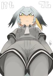 Rule 34 | 10s, 1girl, bodystocking, breasts, collared shirt, commentary request, copyright name, cowboy shot, eyelashes, from below, gradient hair, green eyes, grey hair, head wings, kemono friends, long hair, looking at viewer, looking down, low ponytail, medium breasts, multicolored hair, necktie, orange hair, pantyhose, pantyhose under shorts, pocket, ponytail, satsuyo, shirt, shoebill (kemono friends), short sleeves, shorts, side ponytail, signature, simple background, solo, tsurime, upshorts, white background, wings