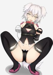 Rule 34 | 1girl, :d, absurdres, animal collar, animal ears, bad id, bad pixiv id, bandaged arm, bandages, black gloves, black panties, black shirt, black thighhighs, breasts, cameltoe, collar, commentary request, dog ears, dog girl, dog tail, elbow gloves, facial scar, fang, fate/grand order, fate (series), fingerless gloves, full body, gloves, grey background, grey eyes, highres, jack the ripper (fate/apocrypha), kemonomimi mode, leaning to the side, looking at viewer, medium breasts, navel, open mouth, panties, paw pose, pink footwear, red collar, scar, scar across eye, scar on cheek, scar on face, shirt, shoes, short hair, shoulder tattoo, silver hair, simple background, single elbow glove, sleeveless, sleeveless shirt, smile, solo, squatting, tail, tattoo, thighhighs, underwear, yagyuu katsuda