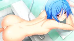 Rule 34 | 1girl, ahoge, artist request, ass, back, bathroom, bent over, blue hair, blush, censored, from above, game cg, hoshi ori yume mirai, nude, open mouth, ousaka sora, pink eyes, pussy juice, sex, short hair, solo, wet