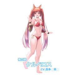 Rule 34 | 1girl, :d, animal ears, bare shoulders, barefoot, bikini, blush, bracelet, breasts, cerberus (shingeki no bahamut), cleavage, collarbone, commentary request, detached sleeves, dog ears, granblue fantasy, highres, jewelry, large breasts, long hair, looking at viewer, open mouth, pepeo, red bikini, red eyes, red hair, red sleeves, side-tie bikini bottom, simple background, smile, solo, swimsuit, twintails, very long hair, waving, white background