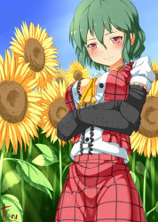 Rule 34 | 1girl, absurdres, ascot, bad id, bad pixiv id, blush, breasts, female focus, flower, gloves, green hair, highres, huai diao de zongzi, kazami yuuka, large breasts, plaid, red eyes, short hair, skirt, smile, solo, sunflower, touhou