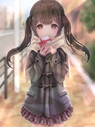 Rule 34 | 1girl, blurry, blurry background, blush, box, brown eyes, brown hair, coat, day, duffel coat, gift, gift box, highres, holding, holding box, holding gift, jacket, long hair, long sleeves, looking at viewer, original, outdoors, plaid, plaid skirt, pleated skirt, scarf, skirt, solo, temari latte, twintails