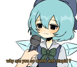 Rule 34 | 1girl, :3, blue bow, blue eyes, blue hair, blue vest, blush, bow, bowtie, cirno, closed mouth, green neckwear, hair bow, highres, holding, holding microphone, ice, ice wings, interview, microphone, simple background, snale, solo focus, subtitled, touhou, vest, white background, wings