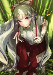 Rule 34 | 1girl, baggy pants, bamboo, bamboo forest, bow, burning, burning clothes, burnt clothes, clenched teeth, collared shirt, commentary request, dappled sunlight, day, fire, floating hair, forest, from above, fujiwara no mokou, grass, green background, hair bow, highres, hime cut, knee up, l!bra, long hair, looking at viewer, nature, ofuda, ofuda on clothes, outdoors, pants, red bow, red eyes, red pants, shirt, sidelocks, sitting, smile, solo, stitches, sunlight, suspenders, suspenders pull, teeth, torn clothes, touhou, very long hair, white bow, white hair, white shirt