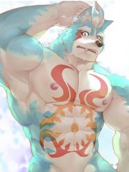 Rule 34 | 1boy, abs, animal ear fluff, animal ears, arm up, armpits, bara, blue fur, chest tattoo, completely nude, cowboy shot, fangs, fuga9, furry, furry male, large pectorals, male focus, muscular, muscular male, navel, nipples, nude, oguchi magami, pectorals, presenting armpit, solo, stomach, stomach tattoo, tattoo, tokyo houkago summoners, white fur, wolf boy, wolf ears