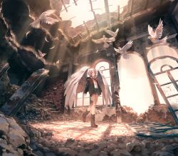 Rule 34 | 1girl, absurdres, angel wings, arch, bird, boots, brick wall, broken window, cloud, day, denim, denim shorts, dove, dtto., feathers, from below, grey hair, highres, hood, hood down, hoodie, indie utaite, jacket, light rays, outdoors, parted lips, red eyes, rock, ruins, scenery, shadow, shijohane, shirt, short hair, shorts, solo, steel beam, sunbeam, sunlight, utaite, virtual youtuber, vocaloid, walking, white hair, white shirt, wide shot, wind, wings