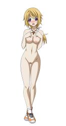 Rule 34 | 1girl, ass, back, blonde hair, breasts, charlotte dunois, infinite stratos, long hair, nipples, nude, purple eyes, solo
