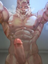 Rule 34 | 1boy, abs, animal ears, arms up, bara, censored, completely nude, cowboy shot, furry, furry male, girthy penis, heterochromia, highres, huge eyebrows, large pectorals, looking at viewer, male focus, mosaic censoring, muscular, muscular male, neumo, nipples, nude, orange fur, original, pectorals, penis, sanpaku, solo, standing, stomach, sweat, tail, thick eyebrows, tiger boy, tiger ears, tiger tail, white fur