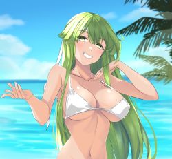 Rule 34 | 1girl, bare arms, bare shoulders, bikini, blue sky, blush, breasts, chuu (rinet), cloud, collarbone, commentary request, day, fire emblem, fire emblem: shadow dragon and the blade of light, green eyes, green hair, grin, hands up, highres, jewelry, large breasts, long hair, looking at viewer, navel, nintendo, ocean, outdoors, palla (fire emblem), ring, sky, smile, solo, stomach, swimsuit, tan, upper body, very long hair, water, white bikini