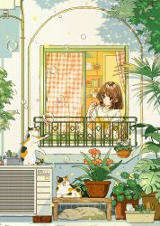 Rule 34 | 1girl, air conditioner, brown eyes, brown hair, bubble, blowing bubbles, calico, cat, day, highres, keishin, original, plant, potted plant, short hair, short sleeves, solo, tree, window