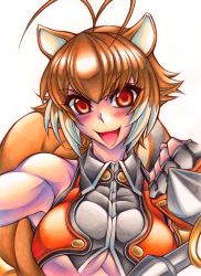 Rule 34 | 1girl, animal ears, antenna hair, arc system works, bare shoulders, blazblue, blazblue: continuum shift, blush, breasts, brown eyes, brown hair, clenched hand, crop top, fingerless gloves, gloves, large breasts, makoto nanaya, marker (medium), multicolored hair, open mouth, short hair, smile, solo, squirrel ears, squirrel tail, tail, toned, tonfa, traditional media, two-tone hair, underboob, upper body, weapon, yoshitsuki