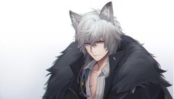 Rule 34 | 1boy, animal ear fluff, animal ears, arknights, bad id, bad twitter id, black coat, closed mouth, coat, grey eyes, grey hair, hair over shoulder, highres, long hair, looking at viewer, male focus, nekojira, open clothes, open coat, shirt, silverash (arknights), smile, solo, white shirt