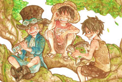 Rule 34 | 3boys, belt, boots, brothers, child, east blue, freckles, goggles, goggles on headwear, hat, in tree, jacket, male focus, map, missing tooth, monkey d. luffy, multiple boys, one piece, portgas d. ace, sabo (one piece), sandals, shorts, shueisha, siblings, sitting, smile, straw hat, top hat, tree, aged down