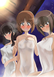 Rule 34 | 3girls, absurdres, alternate hairstyle, arm behind back, black eyes, black hair, blunt bangs, blush, breasts, brown eyes, brown hair, closed mouth, collarbone, commentary, covering privates, cowboy shot, frown, girls und panzer, groin, hair up, hand on own chest, highres, holding, holding towel, looking at viewer, mature female, medium breasts, mother and daughter, multiple girls, navel, night, night sky, nishizumi maho, nishizumi miho, nishizumi shiho, nude cover, onsen, open mouth, see-through, short hair, siblings, sidelocks, sisters, sitting, sky, smile, standing, star (sky), starry sky, steam, sweatdrop, towel, wakku kan, wet, wet hair