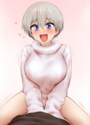 Rule 34 | 1boy, 1girl, blue eyes, blush, bottomless, breasts, cowgirl position, fang, happy sex, heart, highres, large breasts, lying, on back, open mouth, pov, short hair, shpo, silver hair, skin fang, smile, straddling, sweat, sweater, thighs, uzaki-chan wa asobitai!, uzaki hana, vaginal