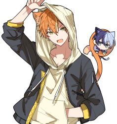 Rule 34 | 2boys, absurdres, animal ears, aoyagi touya, black jacket, blue hair, cat ears, cat tail, drawstring, fangs, green eyes, hand in pocket, highres, hood, hood up, hoodie, hoshi-toge, jacket, kemonomimi mode, long sleeves, male focus, mini person, miniboy, multicolored hair, multiple boys, open mouth, project sekai, shinonome akito, split-color hair, streaked hair, tail, upper body, yellow hoodie
