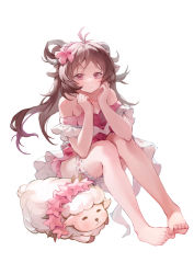 Rule 34 | 1girl, absurdres, ahoge, animal, animal ears, arknights, arms on knees, bare legs, bare shoulders, barefoot, bikini, blush, breasts, bridal garter, brown hair, clenched hand, closed mouth, commentary, eyebrows, eyjafjalla (arknights), eyjafjalla (summer flower) (arknights), flower, fluff, fluffy, frilled one-piece swimsuit, frilled swimsuit, frills, full body, hair flower, hair ornament, hair rings, hands up, hibiscus, highres, horns, ibbca, legs, long hair, looking at viewer, lying, medium breasts, off-shoulder bikini, off shoulder, official alternate costume, on stomach, one-piece swimsuit, pink bikini, pink eyes, pink flower, plaid, plaid swimsuit, rosary, sheep, sheep ears, sheep horns, sidelocks, simple background, sitting, smile, solo, swimsuit, thigh scrunchie, thigh strap, toes, toes up, white background