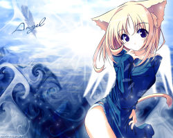 Rule 34 | 1girl, animal ears, blonde hair, blue eyes, blue panties, blue theme, blush, cat ears, cat tail, dress, feathers, halo, no pants, original, panties, senmu (senmudayo), solo, standing, striped clothes, striped panties, sweater, sweater dress, tail, underwear, wallpaper, wings