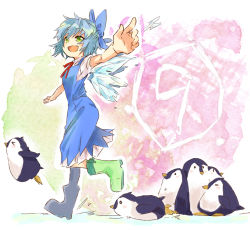 Rule 34 | 1girl, az (704az), azu (azu401), bad id, bad pixiv id, bird, blue dress, blue hair, boots, bow, cirno, dress, fairy, fang, green eyes, ice, open mouth, outstretched arms, penguin, ribbon, rubber boots, short hair, smile, solo, touhou, walking