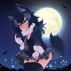 Rule 34 | 1girl, animal ear fluff, animal ears, black hair, black thighhighs, blue eyes, blush, breast pocket, breasts, cleavage, commentary, commentary request, fang, full moon, fur collar, gloves, grey wolf (kemono friends), heterochromia, kemono friends, ko kage, large breasts, moon, multicolored hair, nature, night, night sky, open mouth, outdoors, plaid neckwear, pocket, sky, solo, star (sky), star (symbol), starry sky, tail, thighhighs, two-tone hair, white gloves, white hair, wolf ears, wolf girl, wolf tail, yellow eyes, zettai ryouiki