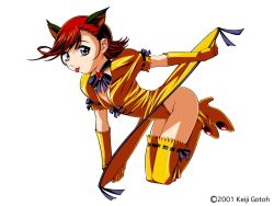 Rule 34 | 1girl, animal ears, cat ears, gotou keiji, solo, thighhighs