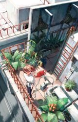 Rule 34 | 1girl, absurdres, black pants, brown hair, from above, highres, ladder, leaf, ligton1225, original, pants, plant, potted plant, rooftop, shirt, shoes, short hair, short sleeves, solo, watering can, white footwear, white shirt, wide shot