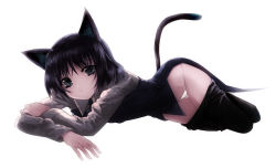 Rule 34 | 00s, 1girl, animal ears, bad id, bad pixiv id, black hair, black pantyhose, clothes pull, green eyes, lowleg, lowleg panties, lying, panties, pantyhose, pantyhose pull, repair, sanya v. litvyak, short hair, simple background, solo, strike witches, tail, underwear, white panties, world witches series