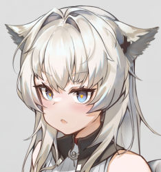 Rule 34 | 1girl, :o, animal ears, arknights, arknights: endfield, bare shoulders, blue eyes, blush, grey background, hair intakes, heart, heart-shaped pupils, long hair, open mouth, perlica (arknights), portrait, pota douzhi, silver hair, simple background, sleeveless, symbol-shaped pupils