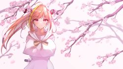 Rule 34 | 1girl, absurdres, ahoge, arms behind back, blonde hair, blush, branch, breasts, bright pupils, cherry blossoms, closed mouth, commentary request, diploma, dragon girl, dragon horns, falling petals, fang, floating hair, hair intakes, highres, holding, hololive, horns, kiryu coco, large breasts, light particles, long hair, looking at viewer, multicolored hair, neck ribbon, official alternate costume, orange hair, petals, pink theme, pointy ears, ponytail, red eyes, ribbon, sailor collar, school uniform, serafuku, sidelocks, simple background, skin fang, slit pupils, smile, solo, sora shitatoge, standing, streaked hair, upper body, virtual youtuber, white background, white pupils, yellow ribbon