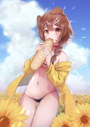 Rule 34 | 1girl, absurdres, animal ears, bad id, bad pixiv id, baguette, bikini, black bikini, blue sky, blush, bone hair ornament, braid, bread, breasts, brown hair, cloud, cloudy sky, collar, collarbone, commentary, cowboy shot, daocheng, dog ears, eating, field, floppy ears, flower, food, food on face, hair ornament, highres, holding, holding food, hololive, inugami korone, inugami korone (1st costume), jacket, looking at viewer, medium breasts, micro bikini, navel, off shoulder, open clothes, open jacket, outdoors, red collar, side braid, single braid, sky, solo, stomach, sunflower, swimsuit, thigh gap, virtual youtuber, yellow eyes, yellow flower, yellow jacket