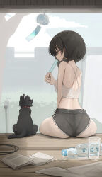 Rule 34 | 1girl, ass, back, black cat, black hair, black panties, black shorts, book, breasts, cat, commentary, crop top, english commentary, food, genek, glass, highres, holding, holding food, holding popsicle, looking at animal, medium breasts, mixed-language commentary, open book, original, panties, popsicle, porch, profile, ramune, see-through, see-through shirt, see-through shorts, shirt, short hair, short shorts, shorts, sitting, solo, summer, sweat, tongs, tongue, tongue out, underwear, wet, wet clothes, wet shorts, white shirt, wooden porch, yellow eyes