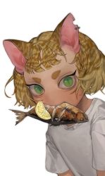 Rule 34 | 1girl, absurdres, animal ears, barbell piercing, blonde hair, cat ears, cat girl, ear piercing, fish (food), food, food in mouth, fruit, green eyes, highres, korean commentary, lemon, lemon slice, looking at viewer, mouth hold, notched ear, original, piercing, shirt, short eyebrows, short hair, simple background, slit pupils, solo, t-shirt, tto ja, upper body, white background, white shirt