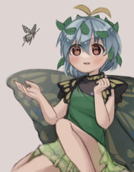 Rule 34 | 1girl, animal, antennae, aqua hair, blush, brown eyes, bug, butterfly, butterfly wings, dress, eternity larva, fairy, green dress, grey background, hair between eyes, highres, insect, insect wings, leaf, leaf on head, masaratta, multicolored clothes, multicolored dress, open mouth, short hair, short sleeves, simple background, smile, solo, touhou, wings