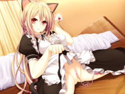 Rule 34 | 1girl, animal ears, blonde hair, breasts, cat ears, censored, clothes lift, game cg, indoors, long hair, maid, no panties, pussy, sex toy, skirt, skirt lift, solo, tagme, vaginal, vibrator
