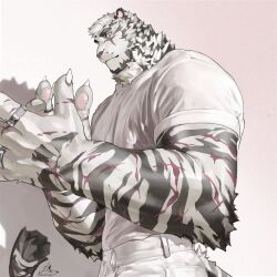 Rule 34 | 1boy, alternate costume, animal ears, arknights, bara, bounsies, collared shirt, from side, furry, furry male, highres, jewelry, large hands, large pectorals, looking at viewer, male focus, mountain (arknights), multiple rings, muscular, muscular male, open hands, pants, pectorals, pink theme, revision, ring, scar, scar across eye, shirt, sleeves rolled up, smile, solo, thick eyebrows, tiger ears, tiger stripes, upper body, white fur, white pants, white shirt