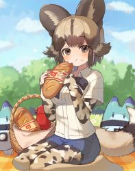 Rule 34 | 1girl, african wild dog (kemono friends), african wild dog print, animal ears, baguette, blue bow, blue bowtie, blush, bow, bowtie, bread, brown eyes, brown hair, collared shirt, crumbs, cutoffs, denim, denim shorts, dog ears, dog girl, dog tail, eating, food, food on face, highres, japari symbol, kemono friends, light brown hair, long sleeves, looking at viewer, lucky beast (kemono friends), multicolored hair, no shoes, noamem, outdoors, pantyhose, picnic basket, print pantyhose, print sleeves, seiza, shirt, short hair, short shorts, shorts, sidelocks, sitting, solo, tail, thermos, white shirt