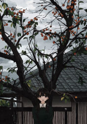Rule 34 | 1girl, absurdres, backpack, bag, black hair, brown eyes, building, cloud, cloudy sky, collared shirt, dress shirt, fence, food, fruit, green shirt, highres, long hair, long sleeves, looking at viewer, open mouth, original, outdoors, persimmon, scenery, shirt, sky, solo, tree, twintails, uniunimikan, white shirt