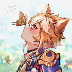 Rule 34 | 1boy, animal, animal ear fluff, animal ears, blonde hair, blue eyes, blue shirt, blush, bug, butterfly, butterfly on nose, closed mouth, day, from side, genshin impact, gorou (genshin impact), hair between eyes, hozumi rino, insect, looking away, looking up, male focus, multicolored hair, outdoors, profile, shirt, short eyebrows, solo, thick eyebrows, translation request, two-tone hair, upper body, white hair