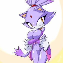 Rule 34 | 1girl, animal ears, blaze the cat, breasts, furry, furry female, large breasts, lowres, pussy, sega, simple background, solo, sonic (series), tail