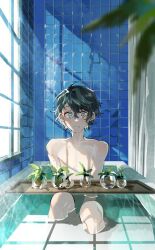 Rule 34 | 1boy, bare shoulders, bathing, bathtub, black hair, blue eyes, commentary, completely nude, english commentary, full body, hair between eyes, knees up, kyouichi, looking at object, male focus, no nipples, nude, original, plant, potted plant, short hair, single sidelock, sitting, solo, sunlight, tile wall, tiles, water drop, window