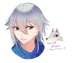 Rule 34 | 1boy, animal crossing, blue sweater, brown eyes, character name, eyeshadow, fang (animal crossing), grey hair, hair between eyes, hair flaps, highres, humanization, japanese text, kirayama1104, looking to the side, makeup, male focus, multiple views, nintendo, parted lips, portrait, purple eyeshadow, short hair, sidelocks, simple background, solo, sweater, teeth, translation request, v-shaped eyebrows, white background