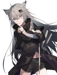 Rule 34 | 1girl, animal ears, arknights, black jacket, black nails, black shorts, blush, commentary, cowboy shot, fingernails, grey eyes, grey hair, hair between eyes, hair ornament, hairclip, hua ye, index finger raised, jacket, katana, lappland (arknights), long hair, long sleeves, looking at viewer, nail polish, navel, parted lips, scar, scar across eye, scar on face, short shorts, shorts, simple background, sleeves past wrists, smile, solo, sword, teeth, upper teeth only, v-shaped eyebrows, very long hair, weapon, white background, wide sleeves