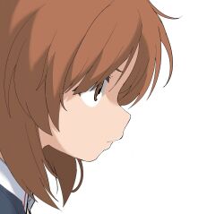 Rule 34 | 1girl, brown eyes, brown hair, closed mouth, female focus, from side, girls und panzer, henyaan (oreizm), highres, nishizumi miho, portrait, profile, simple background, solo, white background