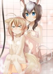Rule 34 | &gt; &lt;, 2girls, absurdres, animal ears, bath stool, bathing, between legs, black hair, blue eyes, breasts, brown hair, chaakusu, commentary request, convenient censoring, fennery (show by rock!!), fox ears, fox tail, hand between legs, highres, light brown hair, multicolored hair, multiple girls, naked towel, nude, short hair, show by rock!!, silver hair, sitting, small breasts, smile, steam, steam censor, stool, streaked hair, tail, towel, wet, zebra ears, zebra tail, zebrina (show by rock!!)