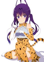 Rule 34 | 10s, 1girl, 3:, absurdres, animal ears, bare shoulders, belt, blush, bow, bowtie, breasts, buttons, closed mouth, commentary request, cosplay, elbow gloves, gloves, gochuumon wa usagi desu ka?, hair between eyes, highres, kemono friends, long hair, looking at viewer, medium breasts, mottsun (i 40y), purple eyes, purple hair, serval (kemono friends), serval (kemono friends) (cosplay), serval print, serval tail, shadow, shirt, sidelocks, sitting, skirt, sleeveless, sleeveless shirt, solo, tail, tedeza rize, thighhighs, twintails, v-shaped eyebrows, very long hair, wavy mouth, white background, white shirt, zettai ryouiki